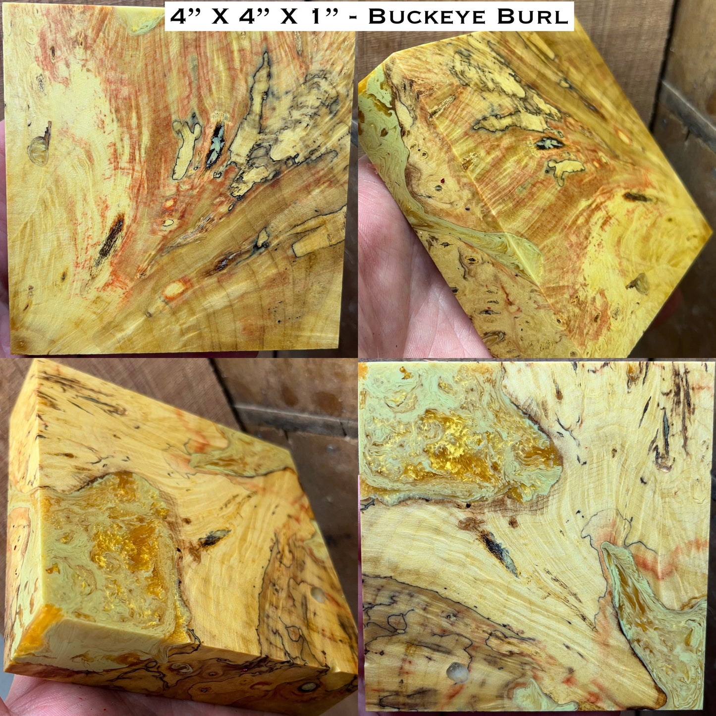 Stabilized Buckeye Burl Hybrid Turkey Pot Call Block