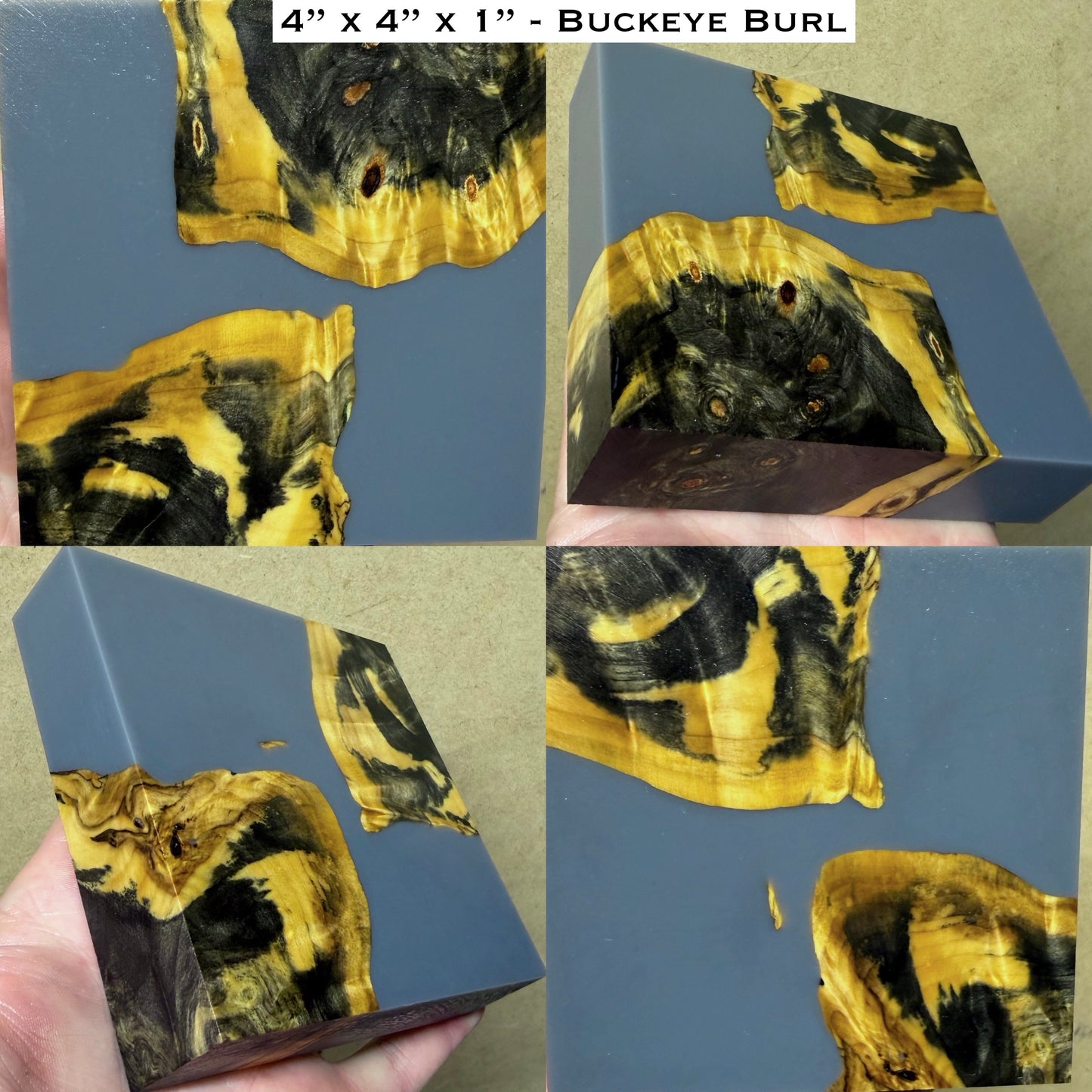Stabilized Buckeye Burl Hybrid Turkey Pot Call Block