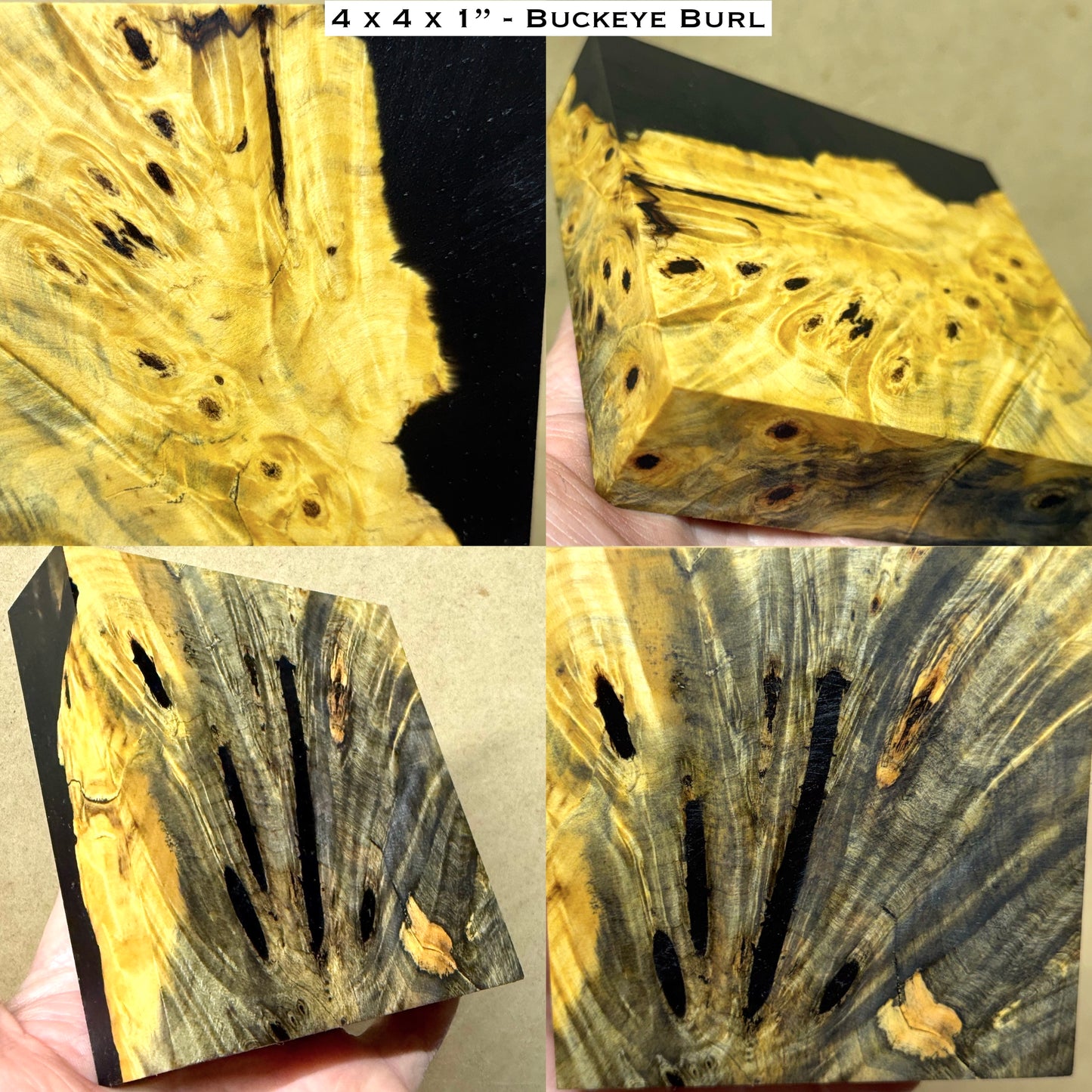 Stabilized Buckeye Burl Hybrid Turkey Pot Call Block