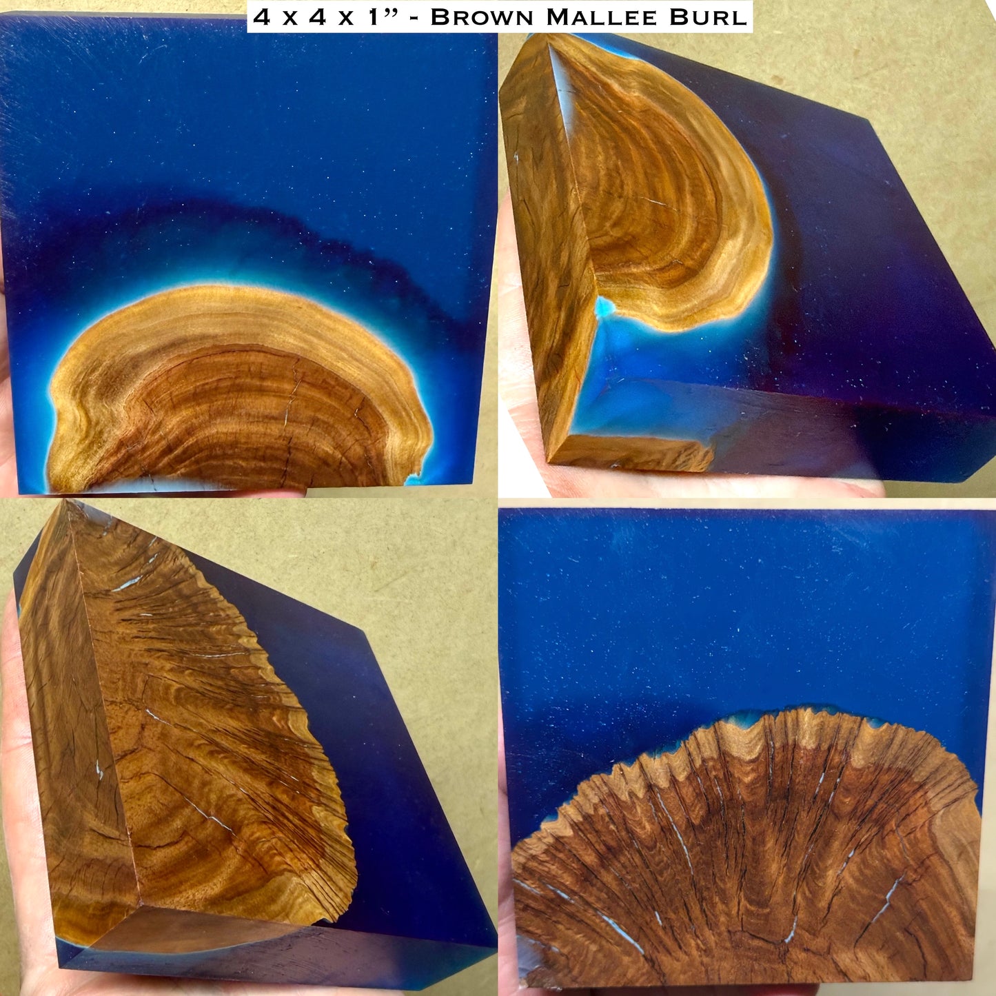 Stabilized Brown Mallee Burl Hybrid Turkey Pot Call Block