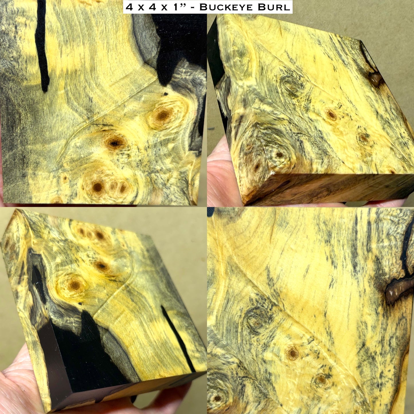 Stabilized Buckeye Burl Hybrid Turkey Pot Call Block