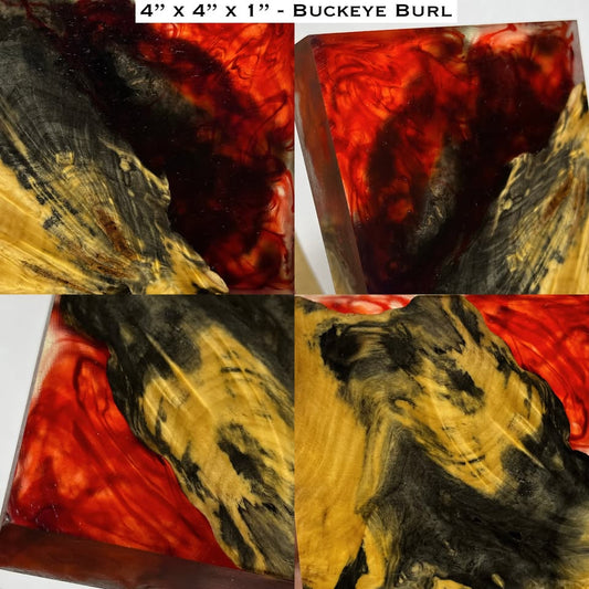 Stabilized Buckeye Burl Hybrid Turkey Pot Call Block