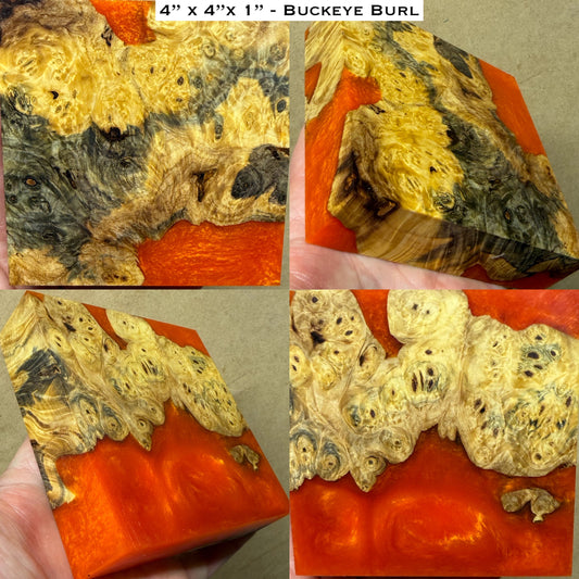 Stabilized Buckeye Burl Hybrid Turkey Pot Call Block