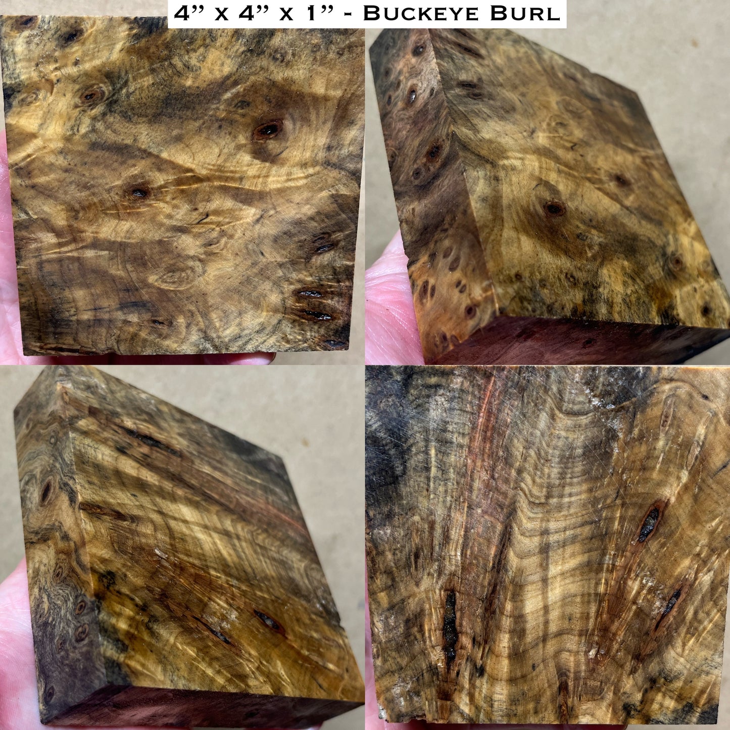Stabilized Buckeye Burl Turkey Pot Call Block