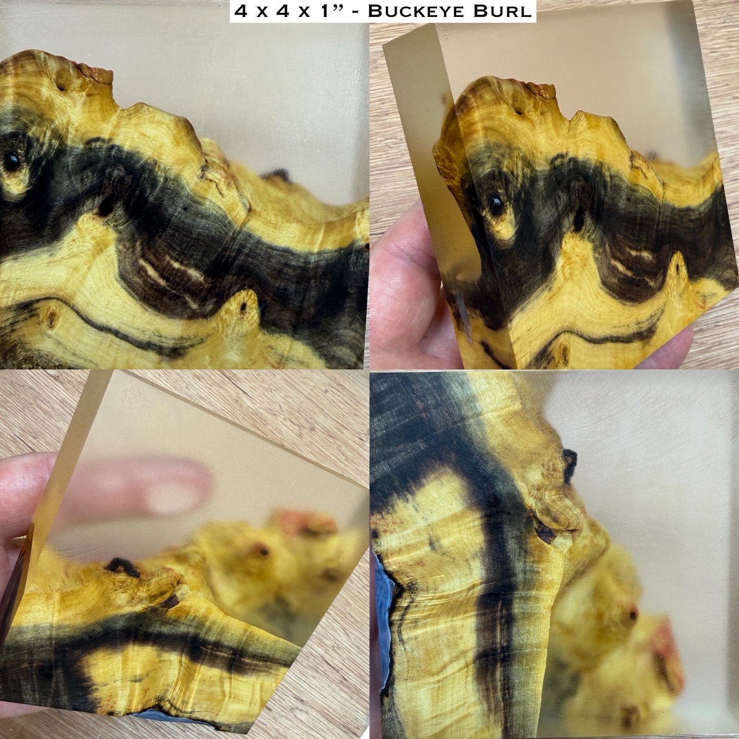 Stabilized Buckeye Burl Hybrid Turkey Pot Call Block